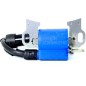 Bobina de ignição do gerador McCulloch FG5700 6000 7000 AK BK MK MA 11HP 13HP Bobina de ignição do gerador McCulloch FG5700 6000 7000 AK BK MK MA 11HP 13HP