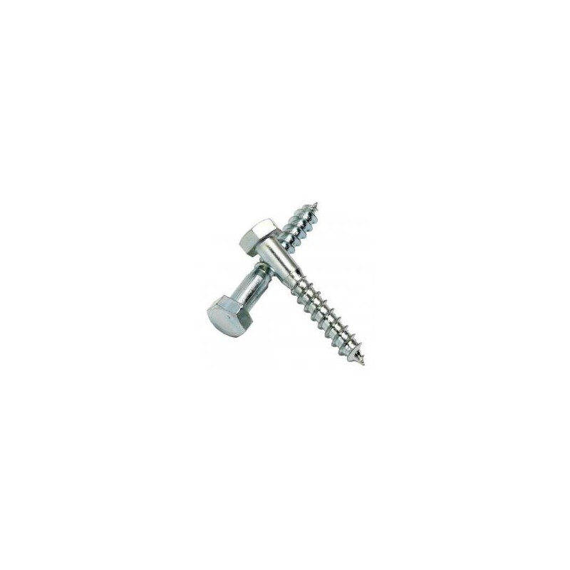 Parafuso zinc DIN 571 hexagonais